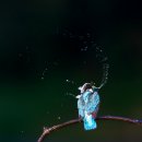 두루초등학교 이미지