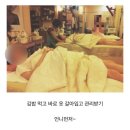 (내돈내산 관리실 추천 찐 후기) 김포 에스테틱 로이나뷰티