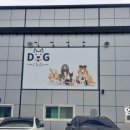 디지클럽 미용실 네이버블로그