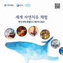 인도문화 체험전 이미지