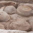 포유테크 이미지