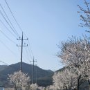 부안 | 2025 부안 메디오폰도 후기!