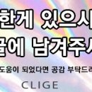 끌리지수유 이미지