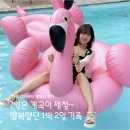 포에버펜션 B | 가평 1박 2일 힐링 여행 미라몬티 풀빌라 펜션 대저택 독채 B 후기