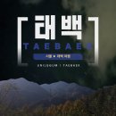 뚜벅이 하우스 | 혼자 태백 1박 2일 버스 여행 _ 1일차 여행 일지(13)｜통리게스트하우스 이용 후기 &amp; 뚜벅이 꿀팁 📝💡