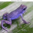 소망공인중개사사무소 이미지