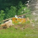 성불산장앞 이미지