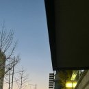 일직중학교 | 25년 11월