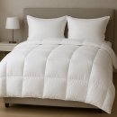 강원세탁산업 이미지