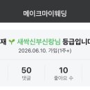 노이레브 | W5. 뭔가 순서가 잘못된 것 같은데? : 혼자하다 포기한 결혼준비에 웨딩플래너의 등장이라