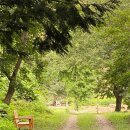 반구정습지 이미지