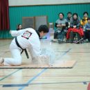 행복한 백호 태권도 이미지