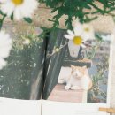 오늘여기 이미지