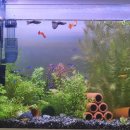 민브라더스 이미지