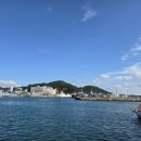 (주)코리아세븐 부산시민공원로점 | [일상] 연화리 / 크리스마스 워터 글로브 / 샤브 연리지 / 트레이더스 BBQ / 망곰이 캘린더