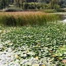 구암동349 이미지