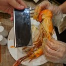 퀸레스토랑 | 호치민 랍스터 뷔페 (1인당 4만원) 후기 - 사이공 프린스 호텔 오션퀸 레스토랑