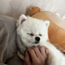 맡기고가개 이미지