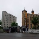 우산쓴고양이 이미지