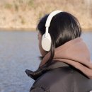 WH헤어 | 소니 블루투스 헤드폰 WH 1000XM5 후기 XM6와 고민 중이라면