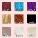 헤어돌페리카페 이미지