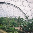 ﻿에덴 프로젝트 Eden Project 이미지