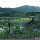 산천낚시터 이미지