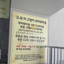 고양이무마취미용 고무미 | [금천구고양이미용]고양이무마취미용 고무미