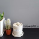 헤이비즈