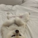 (주)베베와 이미지