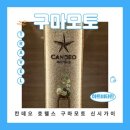 워시가이 | [Kumamoto] 2025년 10월 여행(2) 칸데오 호텔스 구마모토 신시가이