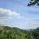 옥녀봉농장 이미지