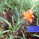 문화농원 - 담양군 동산촌길 43-68 | 문화농원