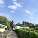 위미돌담스테이 | 제주 서귀포 감성 숙소 : 위미리 유스테이(U-stay) / 에어비앤비