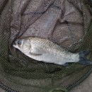 매일낚시터 이미지