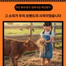 워낭소리농장 네이버블로그