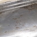 세븐일레븐온누리점 이미지