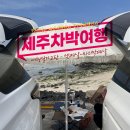 아이앤뮤지움 | 제주도 내차타고 차박여행! 3~5일차
