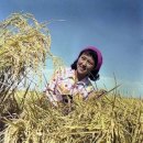 용성축산 이미지