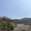 쪼꼬네유치원2 이미지