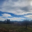 알밤오름하우스 이미지