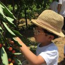 아너스유치원 이미지