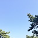 약속의 바다 | 울산 대왕암 해녀촌 해산물 가격 바다뷰 야외 먹방 후기 | 바다 감성 한상 즐기기