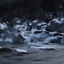 백석탄경로당 Daum카페