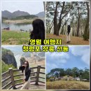 선돌이네 | [[청령포.장릉.선돌]]요즘 뜨는 영월 여행지🔥 청령포·장릉·선돌 직접 다녀온 솔직후기+청령포맛집식당❤️