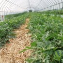 순이하우스 이미지