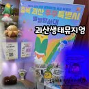 6 | 괴산생태뮤지엄/무료체험전시관, 특별전시, 별별탐사대, 아이랑 다녀온 후기