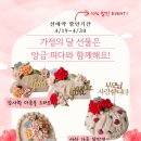 피다 케이크