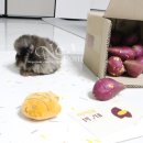 공구밥상 이미지