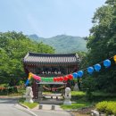 유성온천역(6번 출구) 버스정류장 이미지